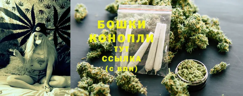 наркотики  Пугачёв  Каннабис OG Kush 